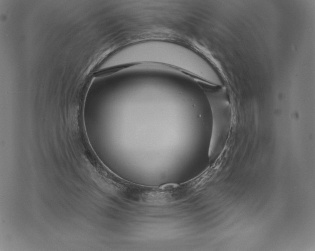 X0000074040154200609111748