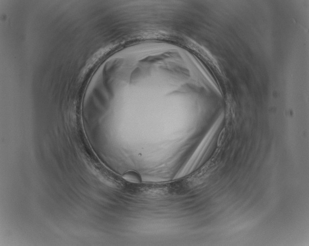 X0000074040155200609111748