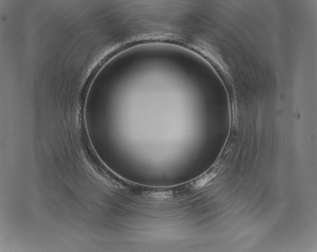 X0000074040156200609111748