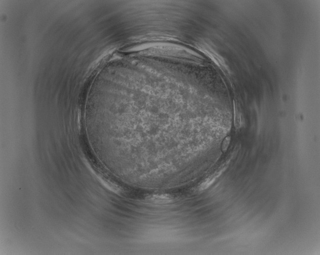 X0000074040157200609111748