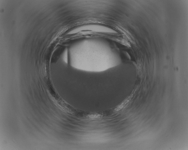 X0000074040158200609111748