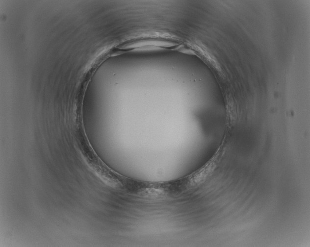 X0000074040159200609111748