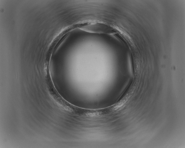 X0000074040160200609111748