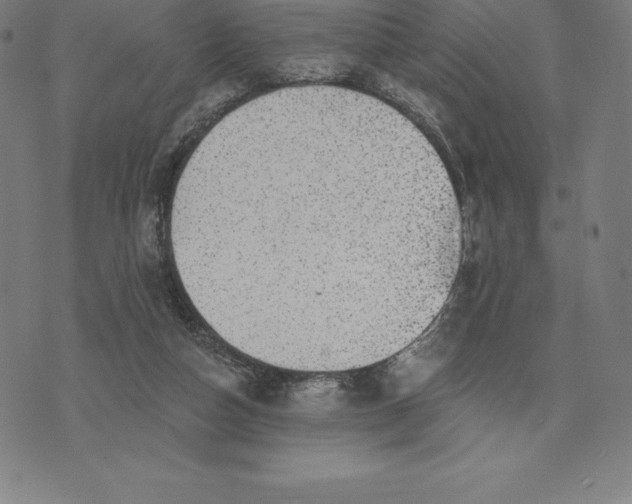 X0000074040162200609111748