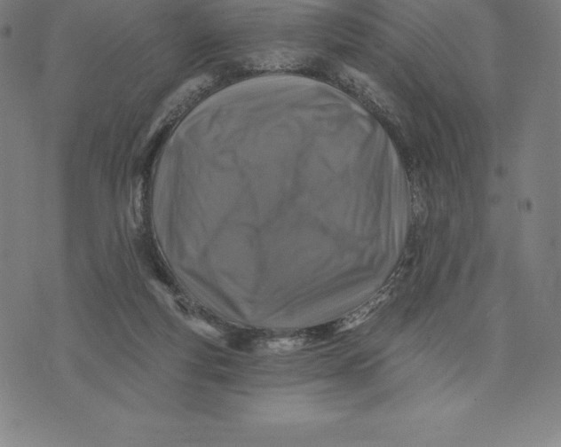 X0000074040163200609111748