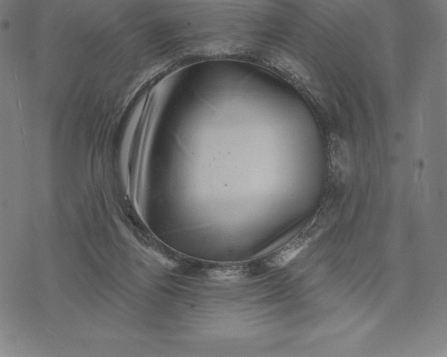 X0000074040164200609111748