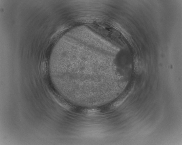 X0000074040165200609111748