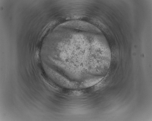 X0000074040166200609111748