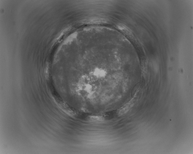 X0000074040167200609111748