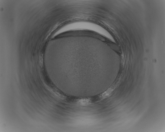 X0000074040168200609111748