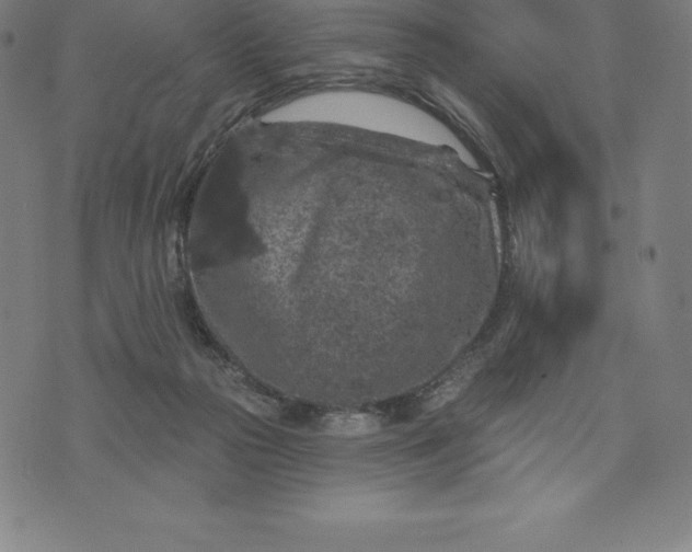 X0000074040169200609111748