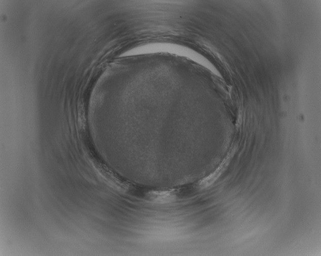 X0000074040170200609111748