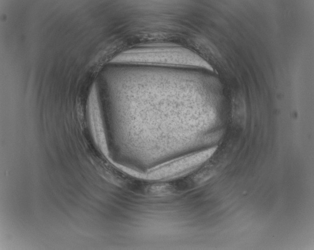 X0000074040173200609111748