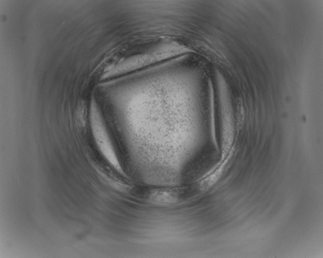 X0000074040174200609111748