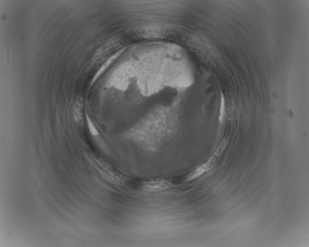 X0000074040175200609111748