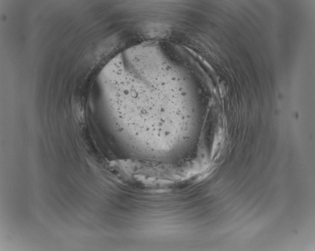 X0000074040176200609111748