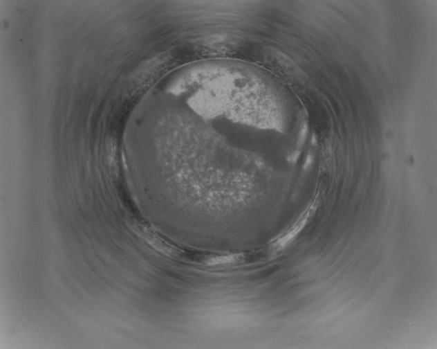 X0000074040178200609111748