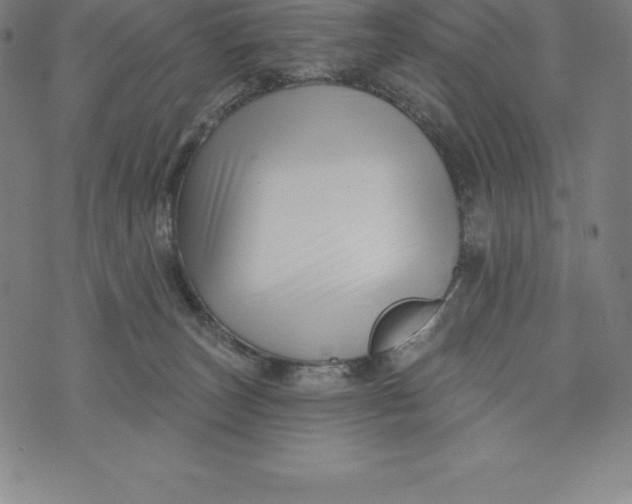 X0000074040179200609111748