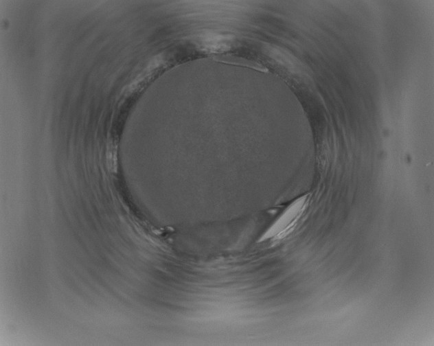 X0000074040180200609111748