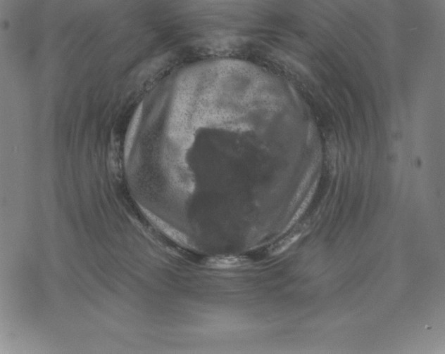 X0000074040181200609111748