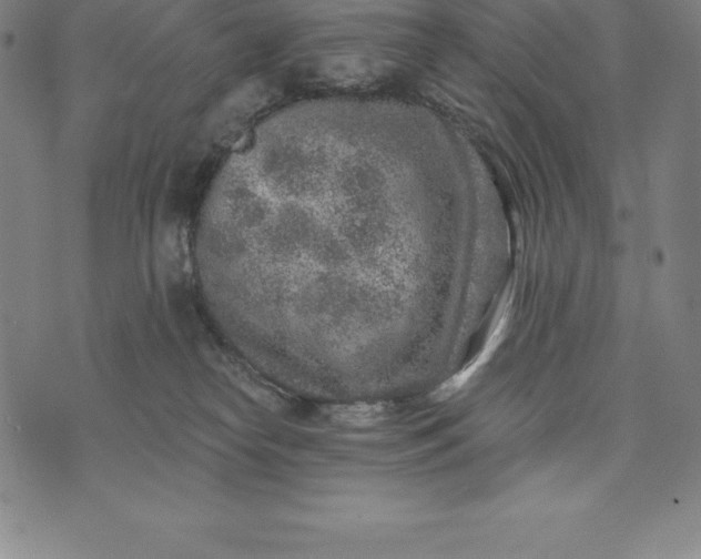 X0000074040182200609111748