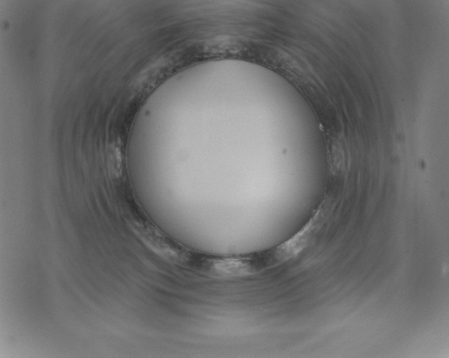 X0000074040183200609111748