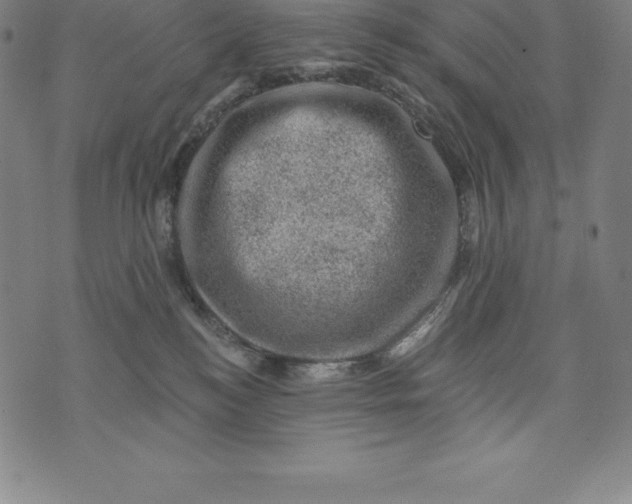 X0000074040184200609111748