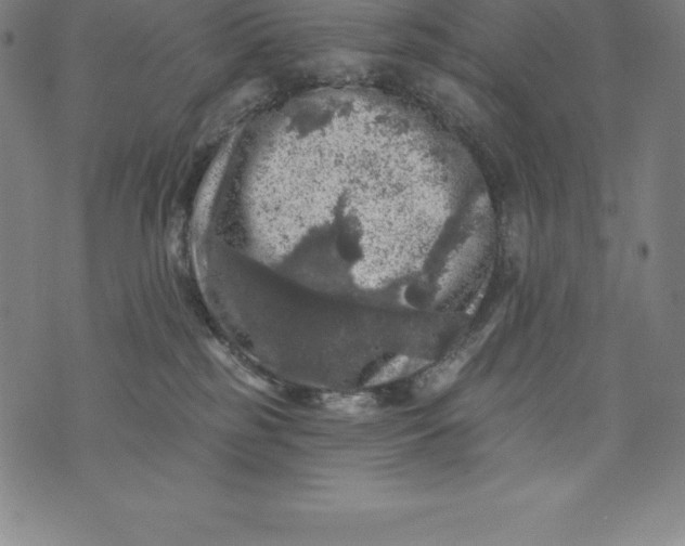 X0000074040185200609111748