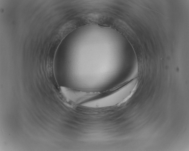 X0000074040186200609111748