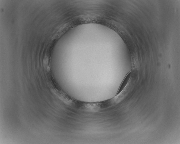 X0000074040187200609111748