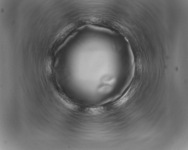 X0000074040188200609111748