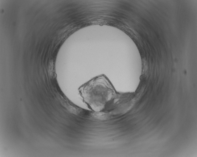 X0000074040189200609111748