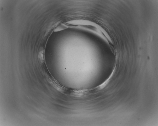 X0000074040190200609111748