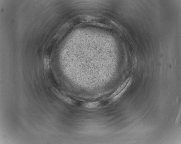 X0000074040191200609111748