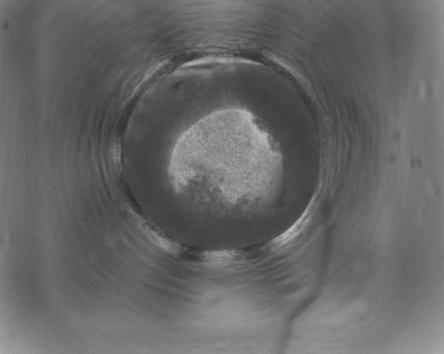 X0000074040192200609111748