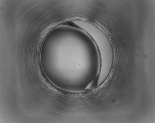 X0000074040193200609111747