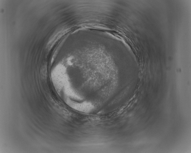 X0000074040194200609111747