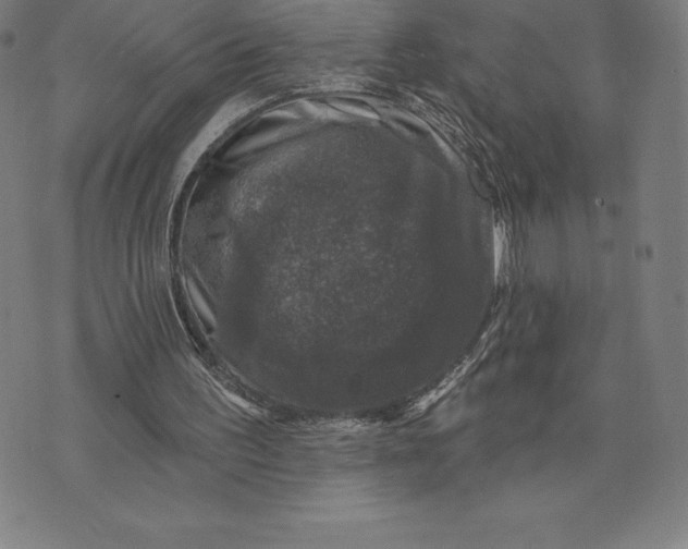 X0000074040195200609111747