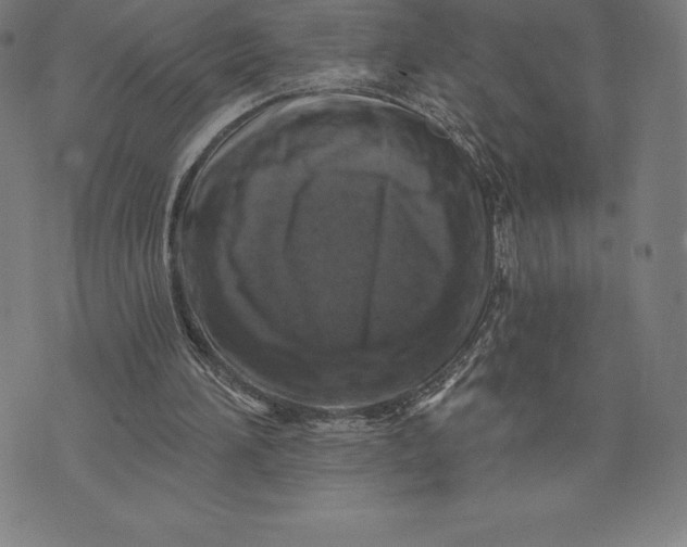 X0000074040196200609111747