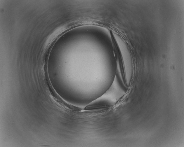 X0000074040197200609111747