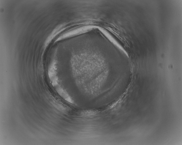 X0000074040198200609111747