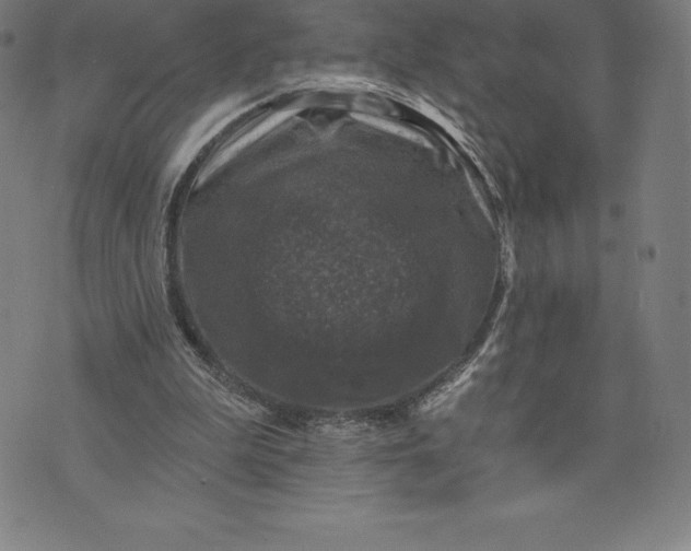 X0000074040199200609111747