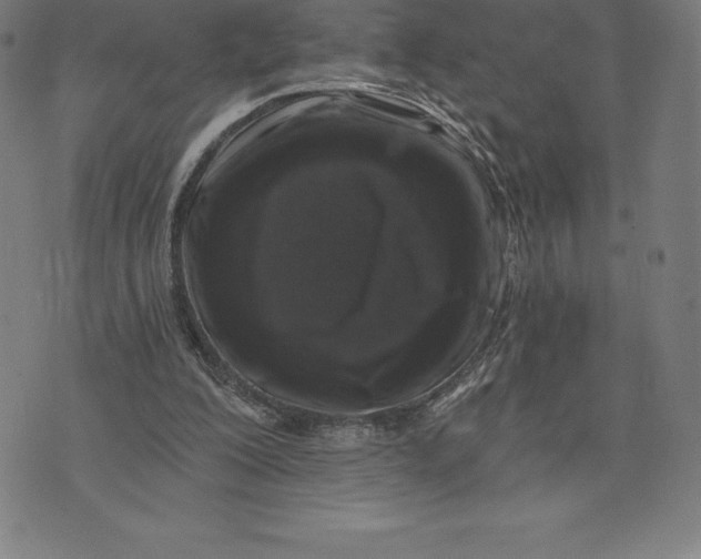 X0000074040200200609111747