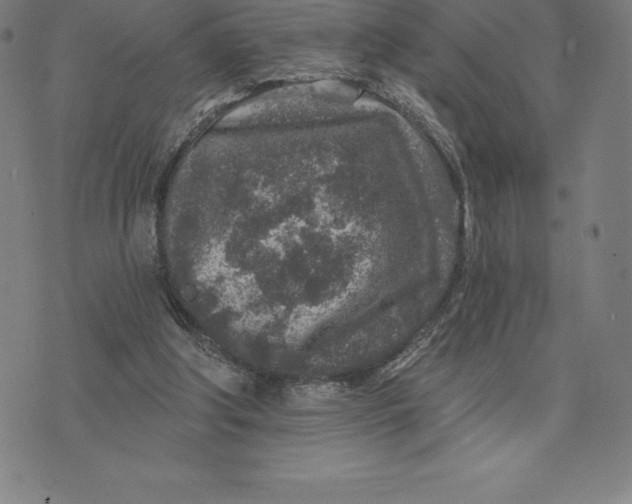 X0000074040202200609111747