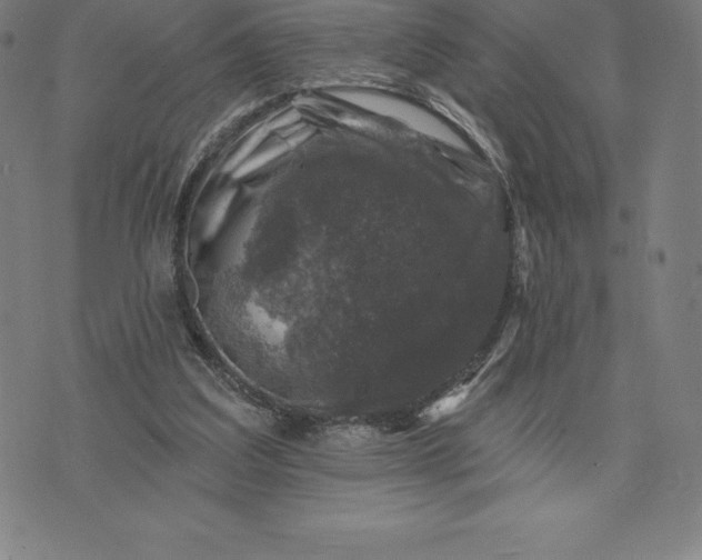 X0000074040203200609111747