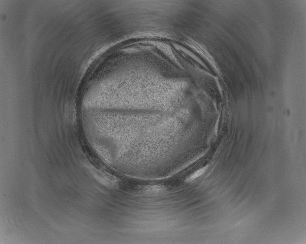 X0000074040204200609111747