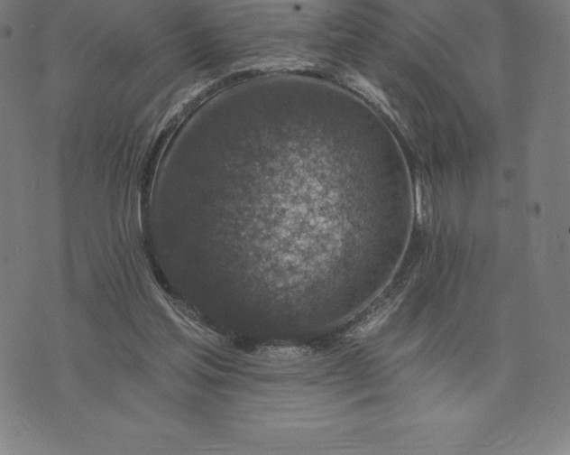 X0000074040205200609111747