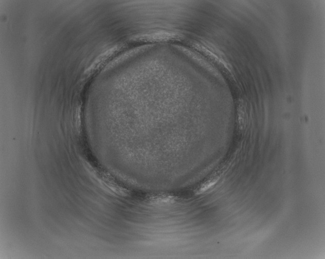 X0000074040206200609111747