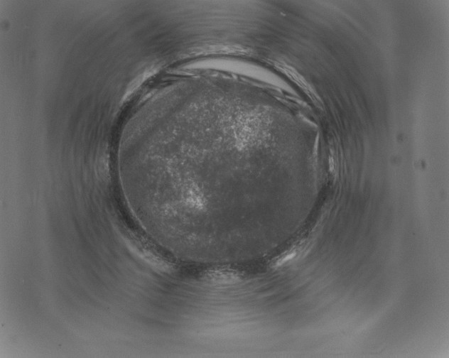 X0000074040207200609111747