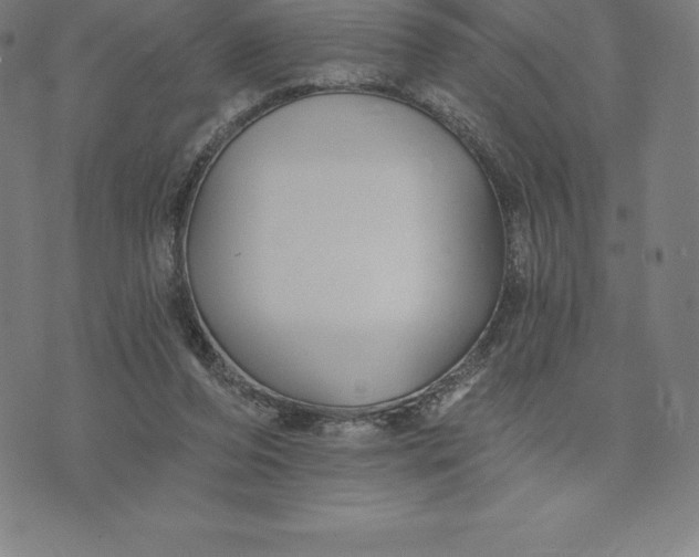 X0000074040208200609111747